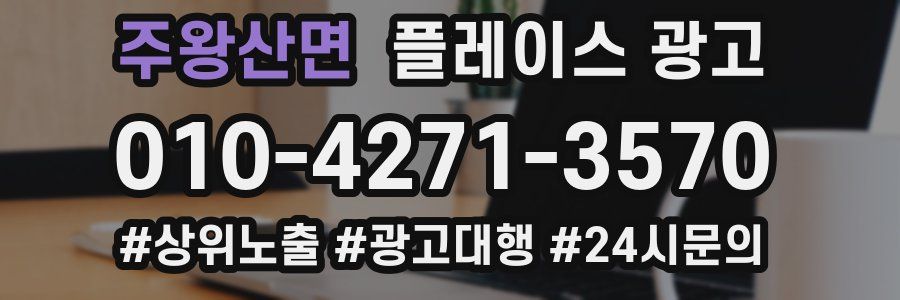 주왕산면 플레이스 광고