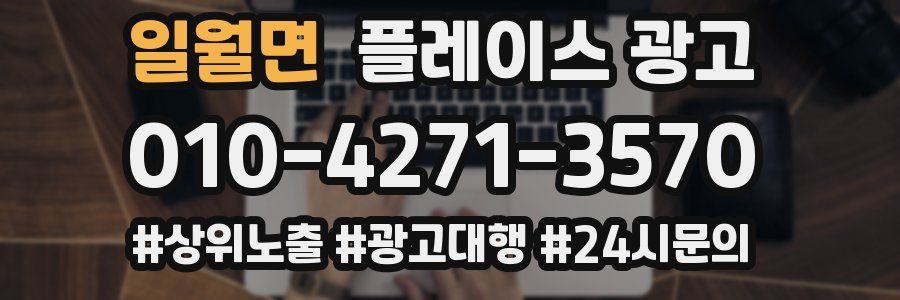 일월면 플레이스 광고