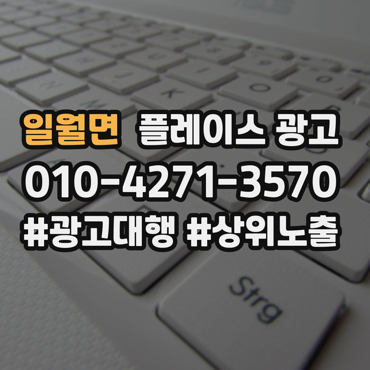 일월면 플레이스 광고