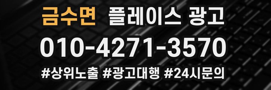 금수면 플레이스 광고