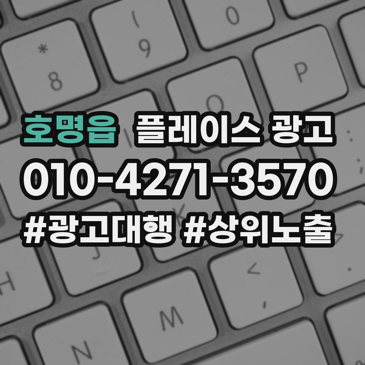 호명읍 플레이스 광고