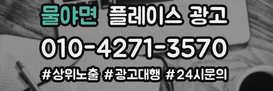 물야면 플레이스 광고