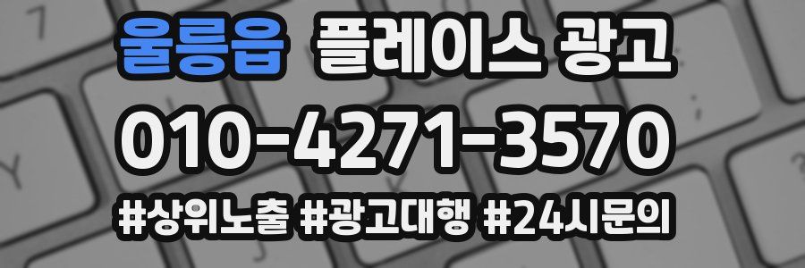 울릉읍 플레이스 광고