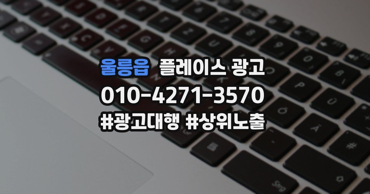 울릉읍 플레이스 광고