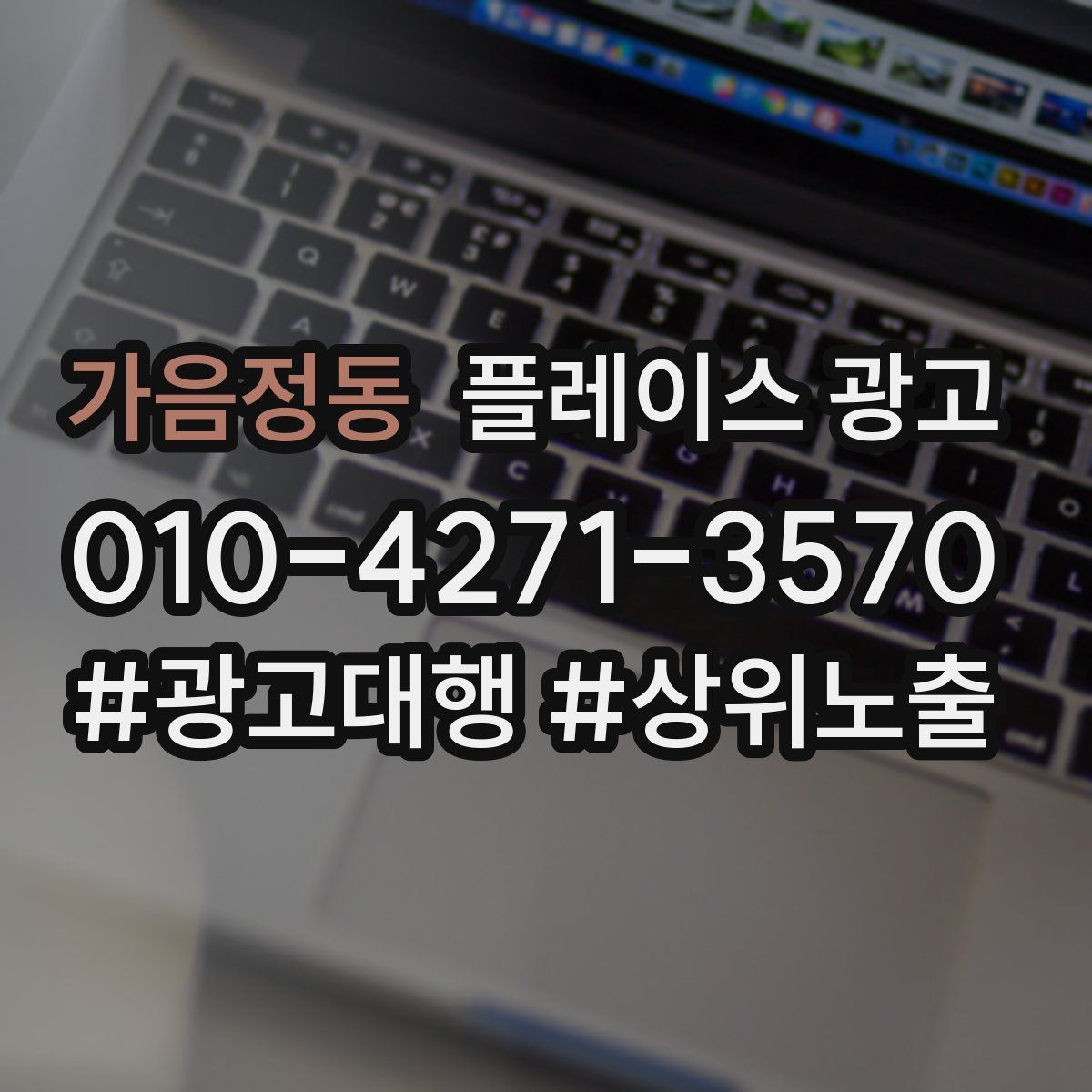 가음정동 플레이스 광고