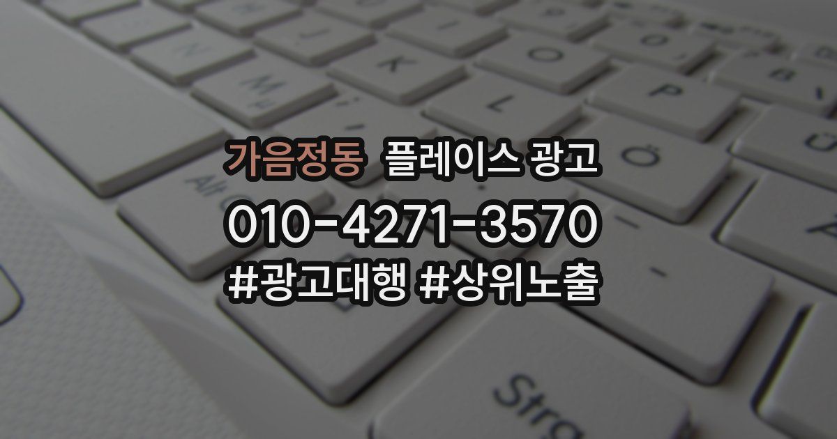 가음정동 플레이스 광고