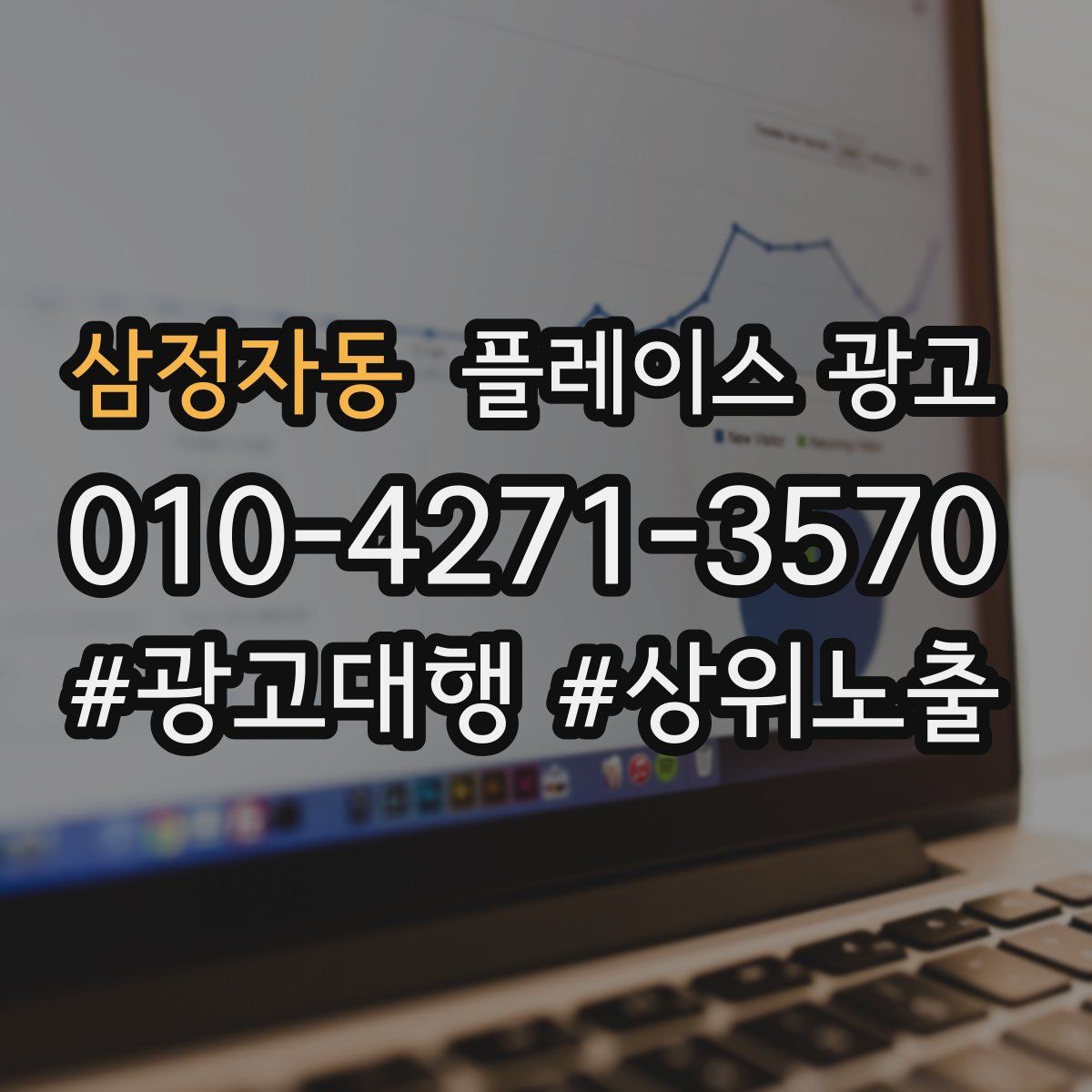 삼정자동 플레이스 광고