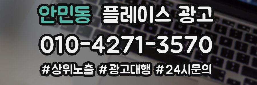안민동 플레이스 광고