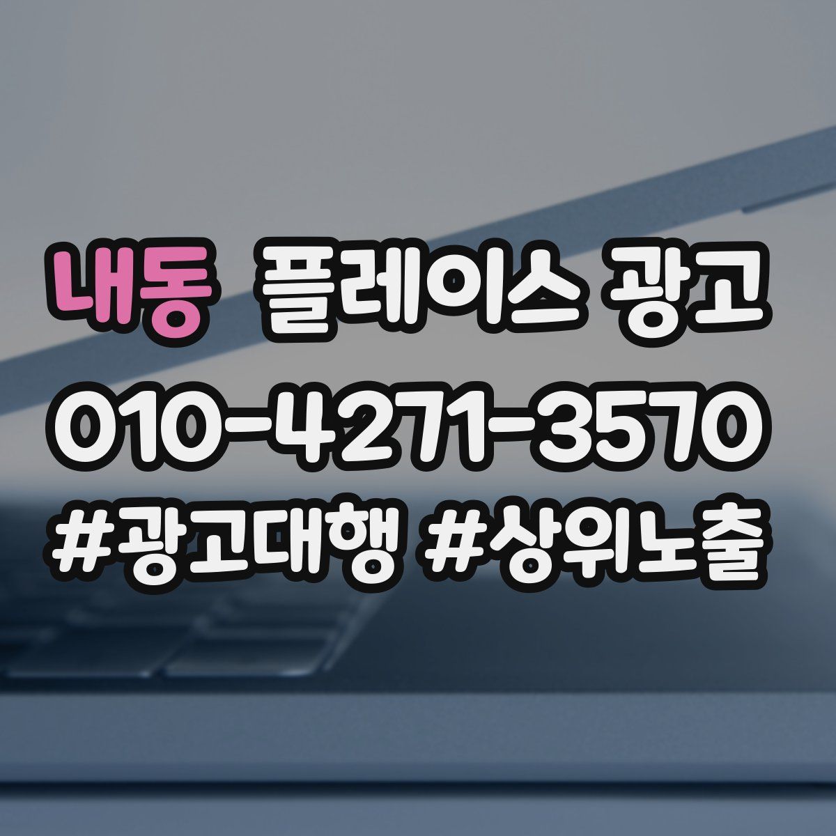 내동 플레이스 광고