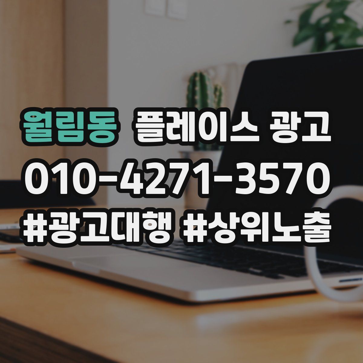 월림동 플레이스 광고