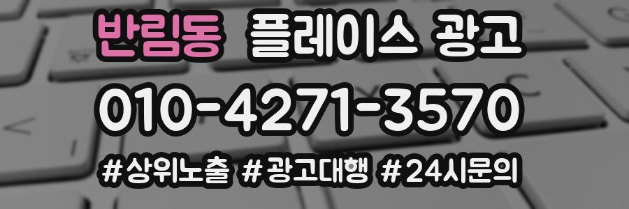 반림동 플레이스 광고
