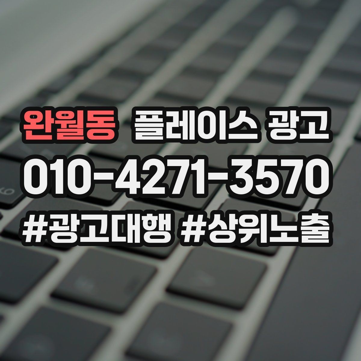 완월동 플레이스 광고 지도 검색에서 선택받는 대표사진 기준