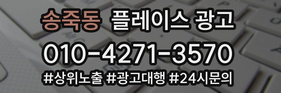 송죽동 플레이스 광고
