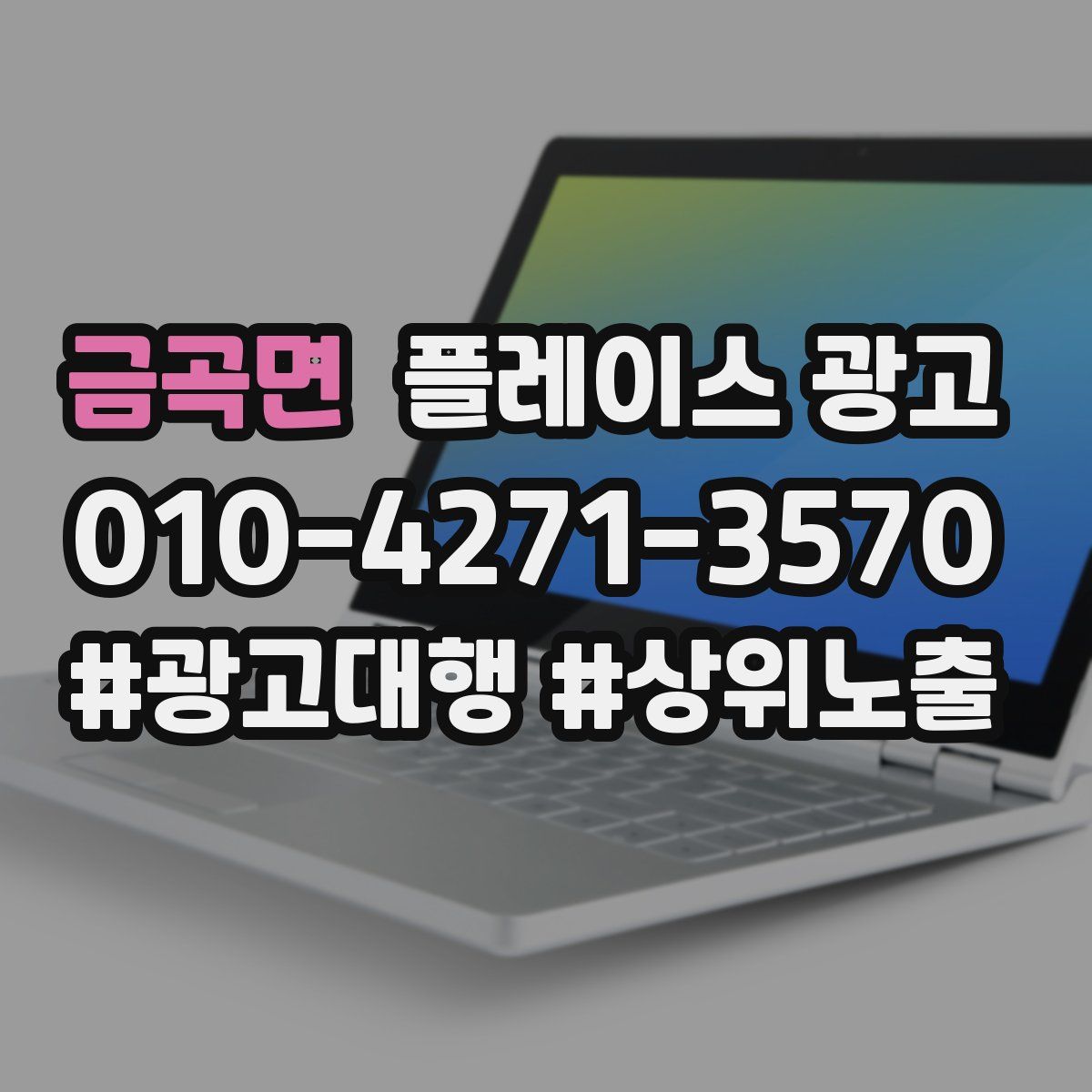 금곡면 플레이스 광고