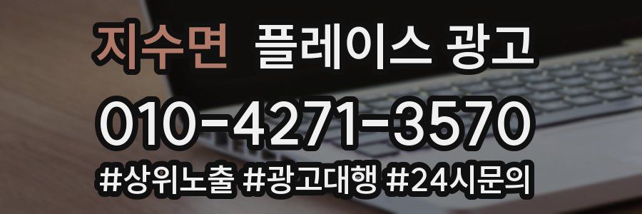 지수면 플레이스 광고