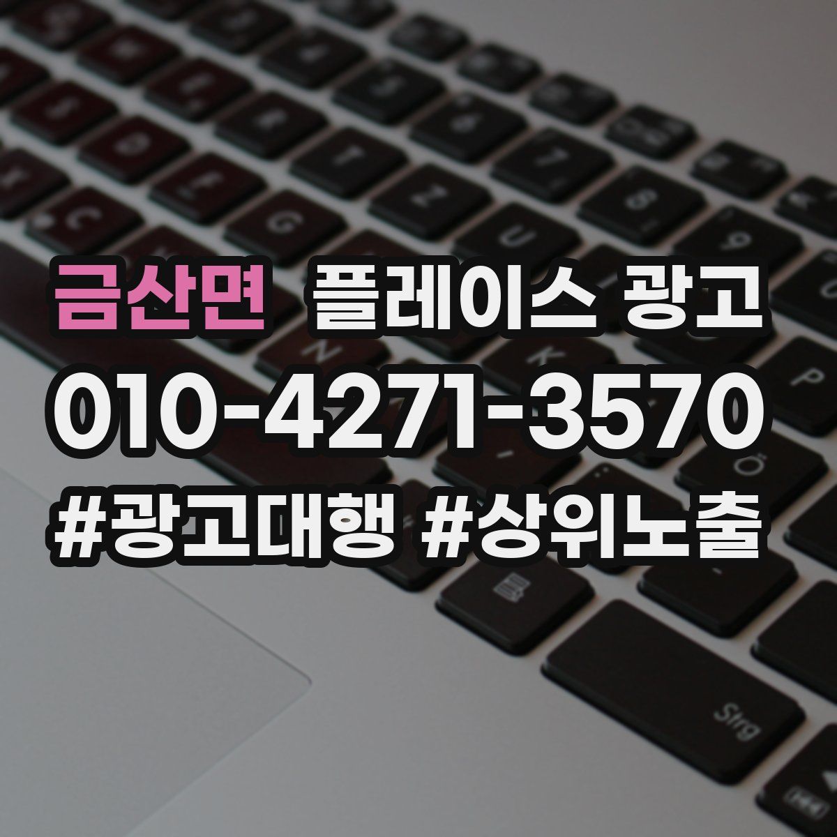 금산면 플레이스 광고