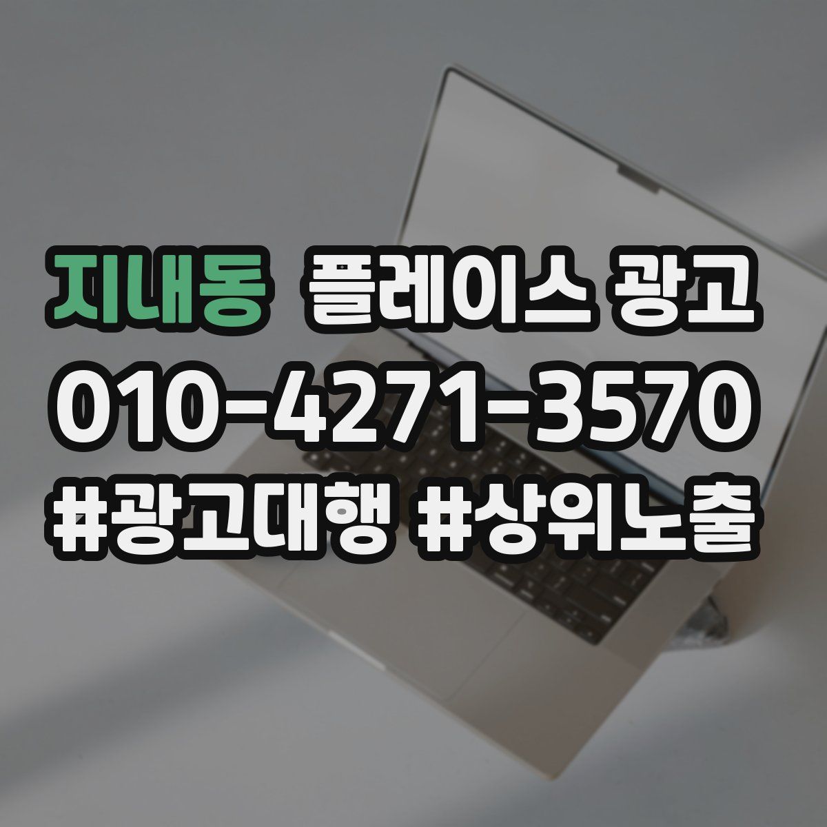 지내동 플레이스 광고