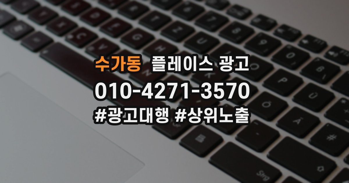 수가동 플레이스 광고