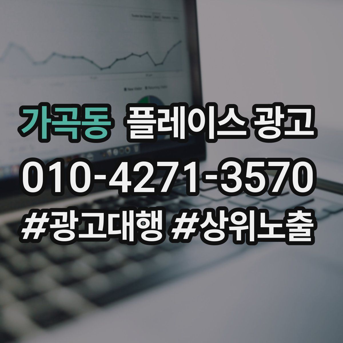 가곡동 플레이스 광고