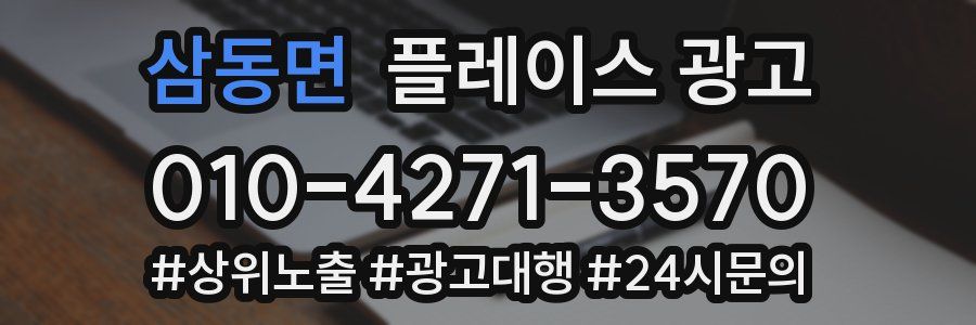 삼동면 플레이스 광고