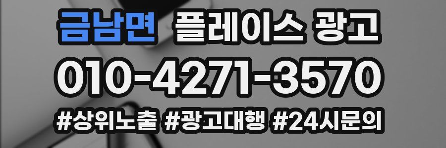 금남면 플레이스 광고
