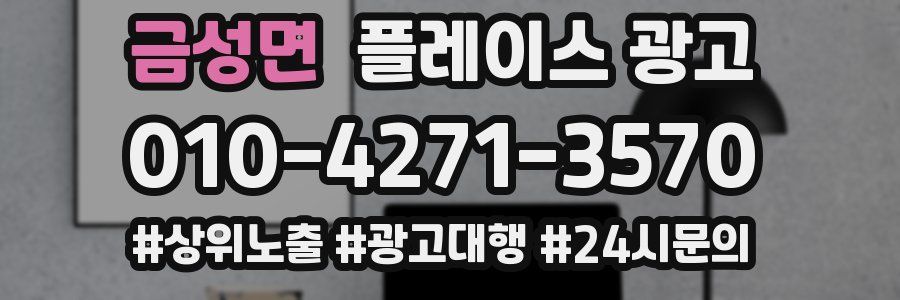 금성면 플레이스 광고