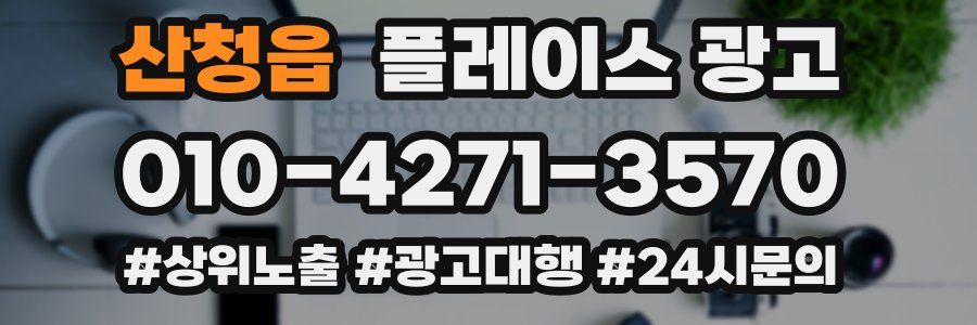 산청읍 플레이스 광고