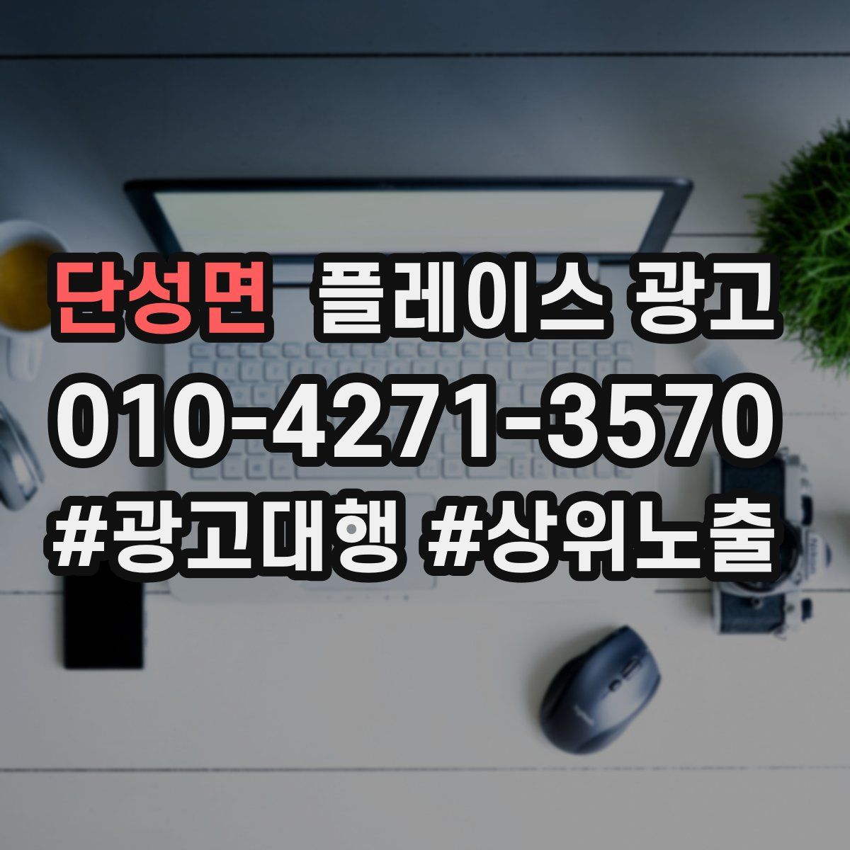 단성면 플레이스 광고