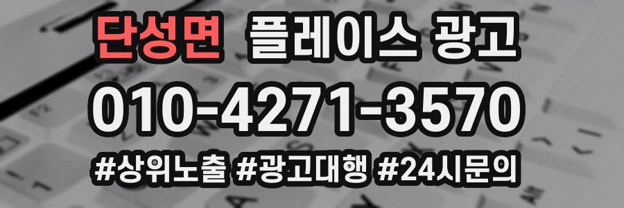 단성면 플레이스 광고
