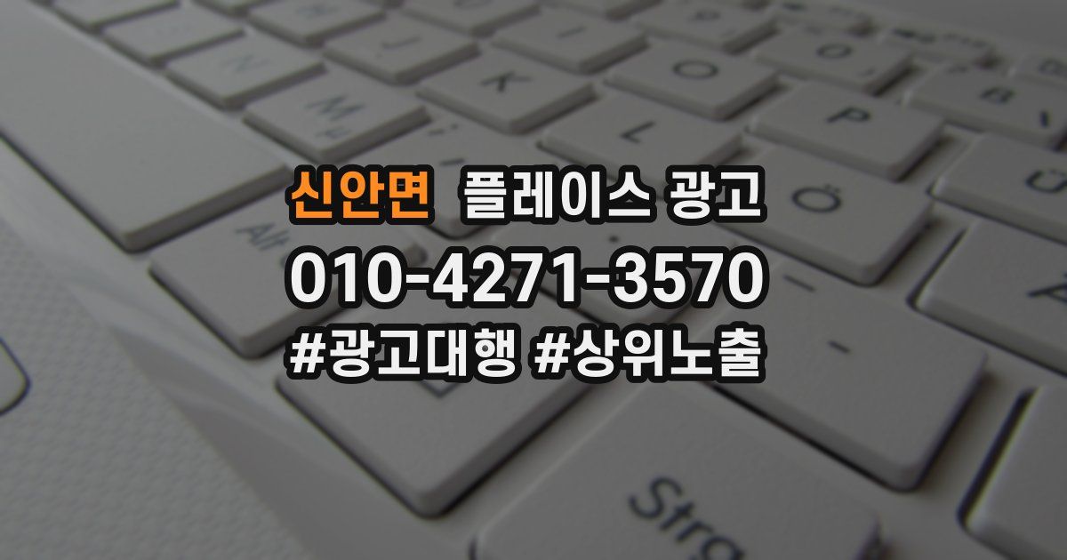 신안면 플레이스 광고