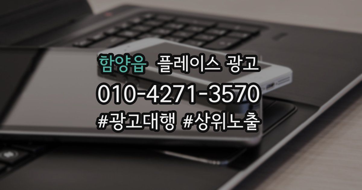 함양읍 플레이스 광고