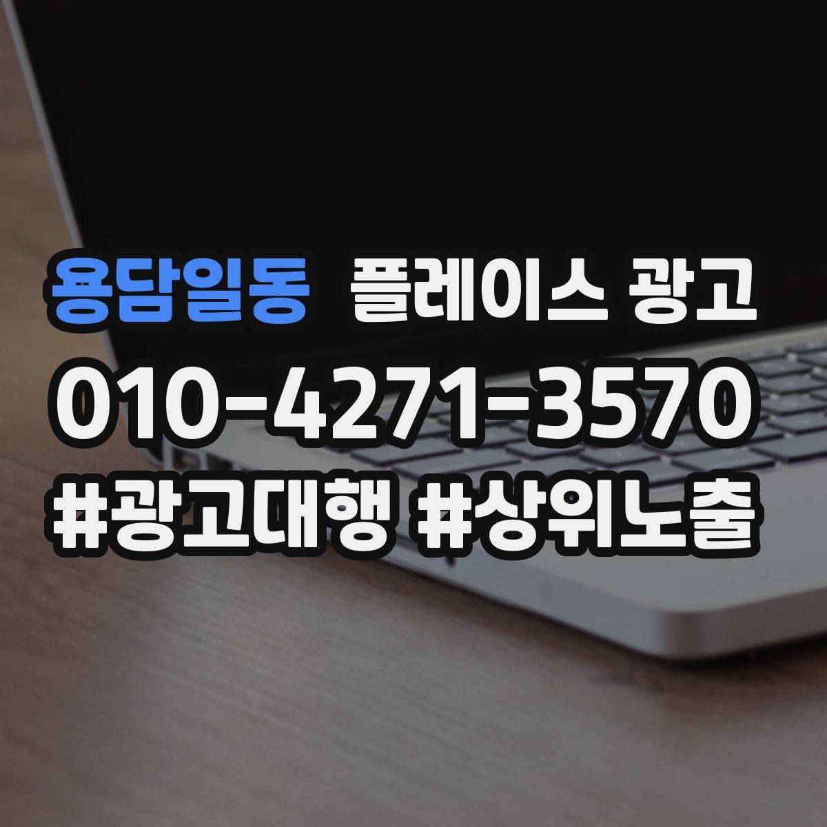 용담일동 플레이스 광고