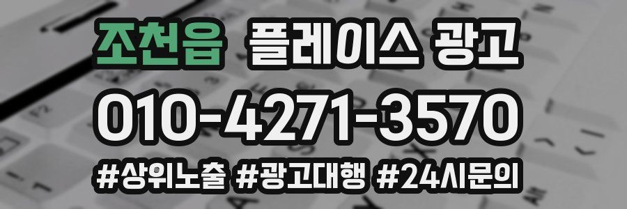 조천읍 플레이스 광고