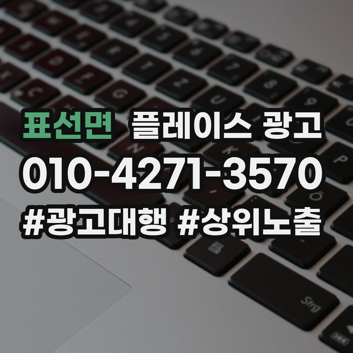 표선면 플레이스 광고