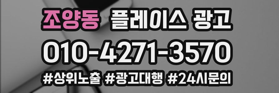 조양동 플레이스 광고