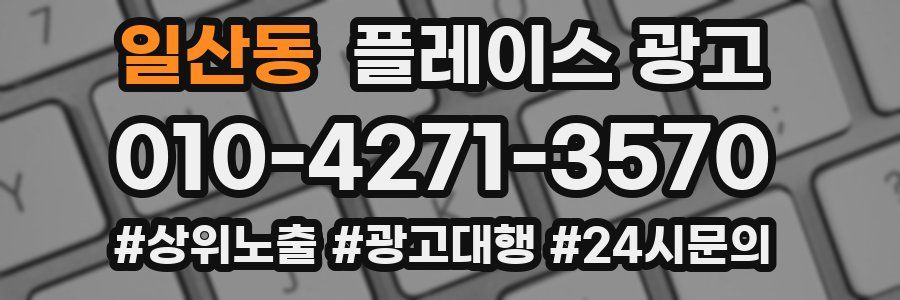 일산동 플레이스 광고