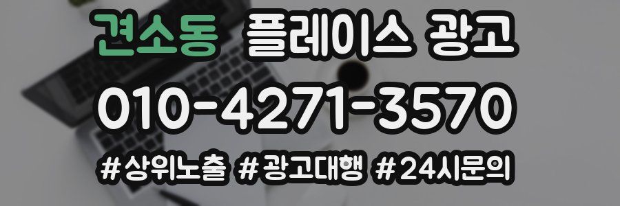 견소동 플레이스 광고