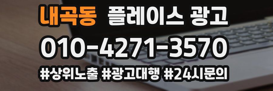 내곡동 플레이스 광고