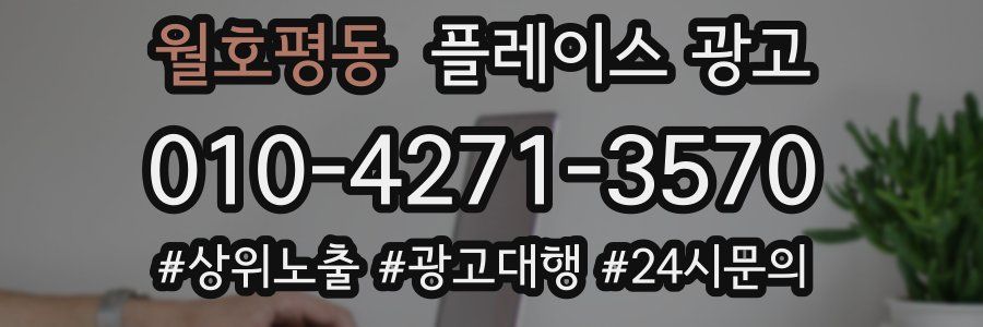 월호평동 플레이스 광고