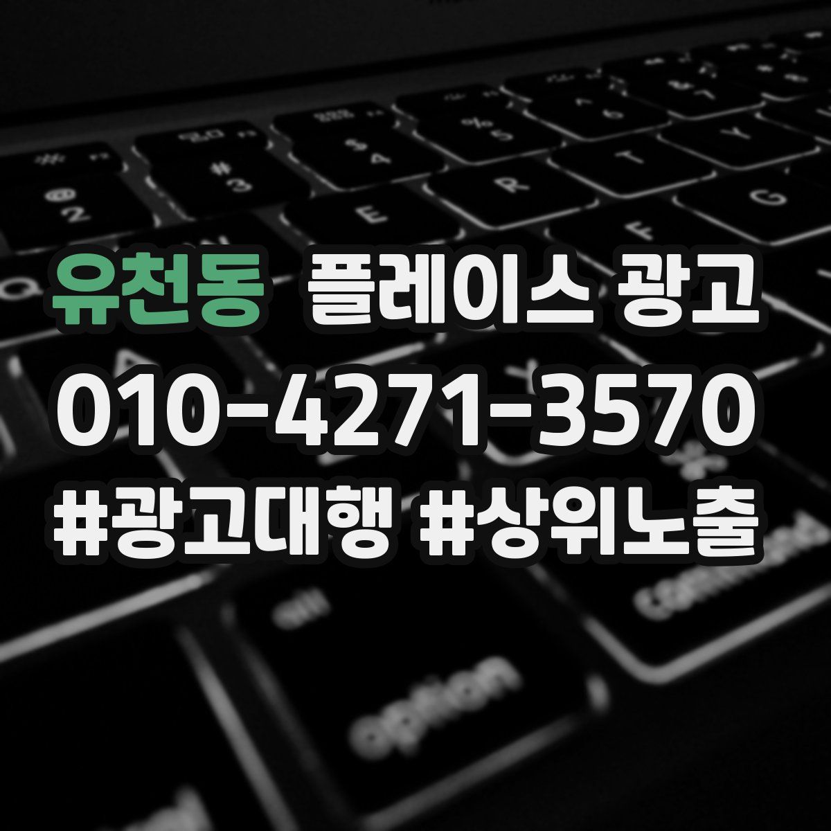 유천동 플레이스 광고