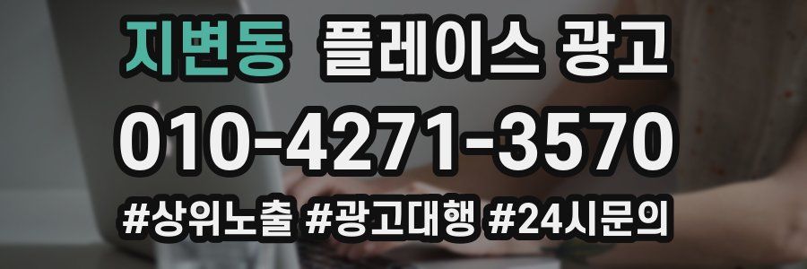 지변동 플레이스 광고