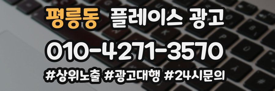 평릉동 플레이스 광고