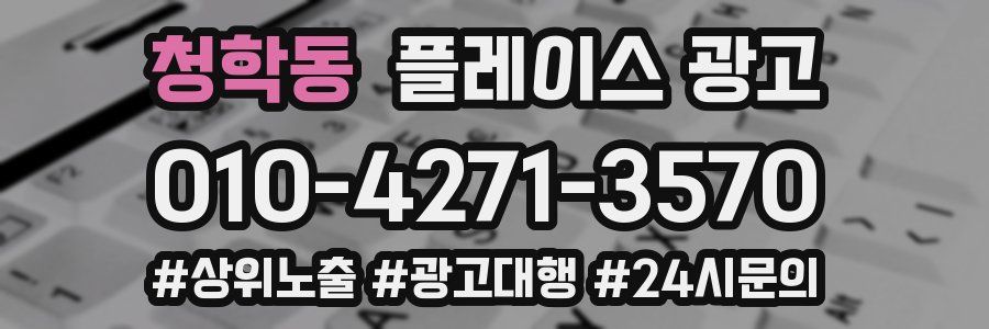 청학동 플레이스 광고