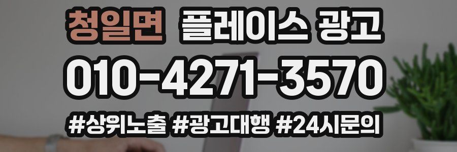 청일면 플레이스 광고