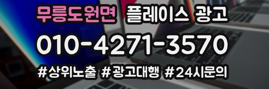 무릉도원면 플레이스 광고