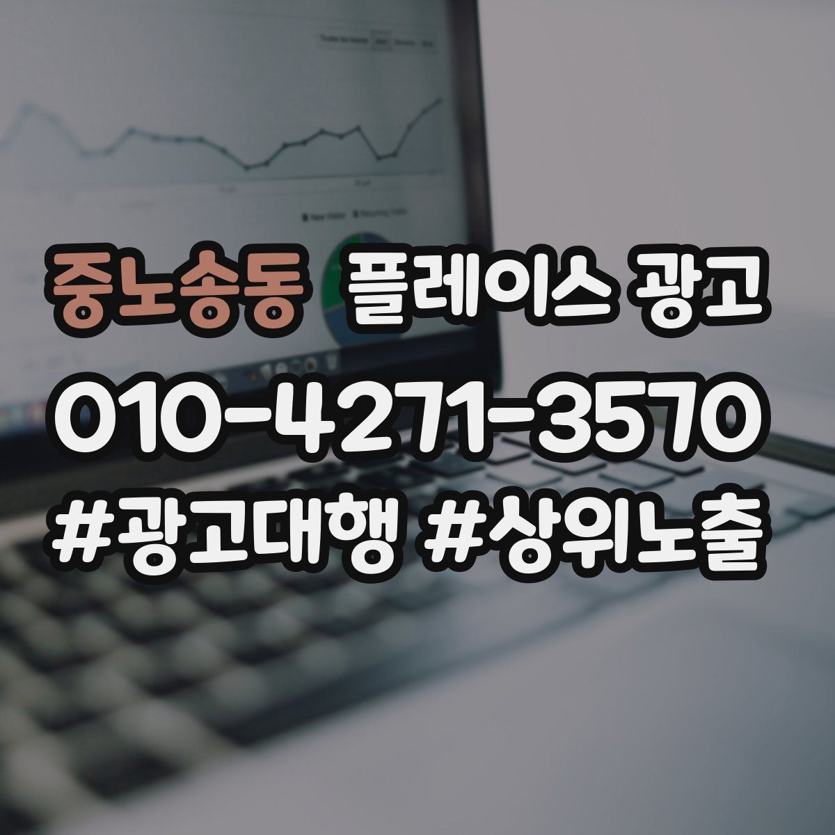 중노송동 플레이스 광고