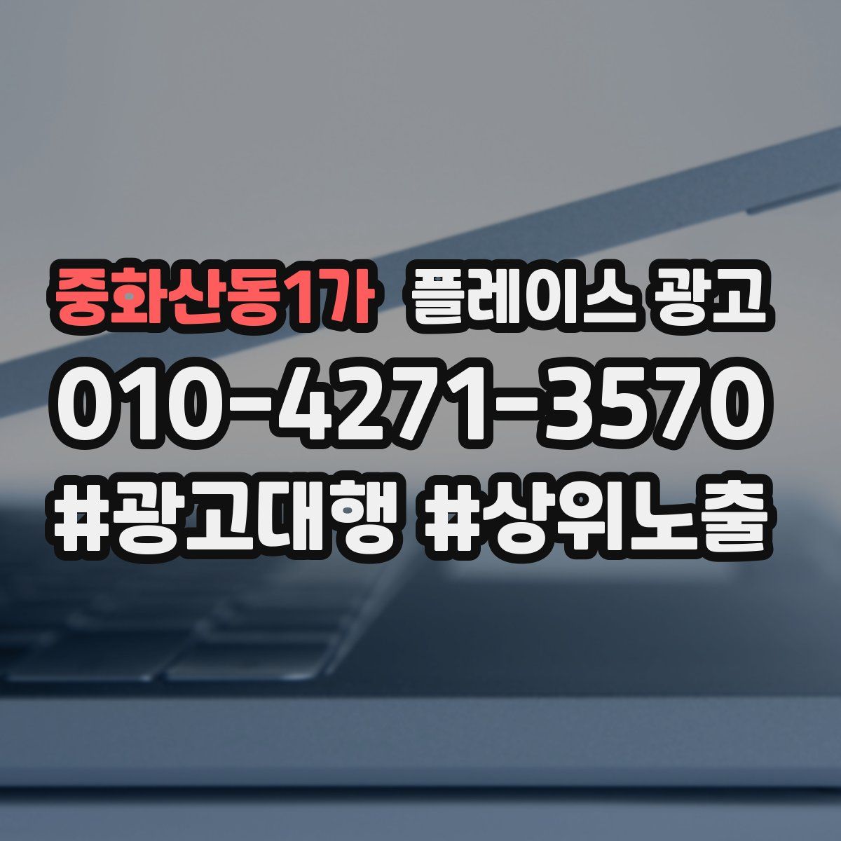 중화산동1가 플레이스 광고