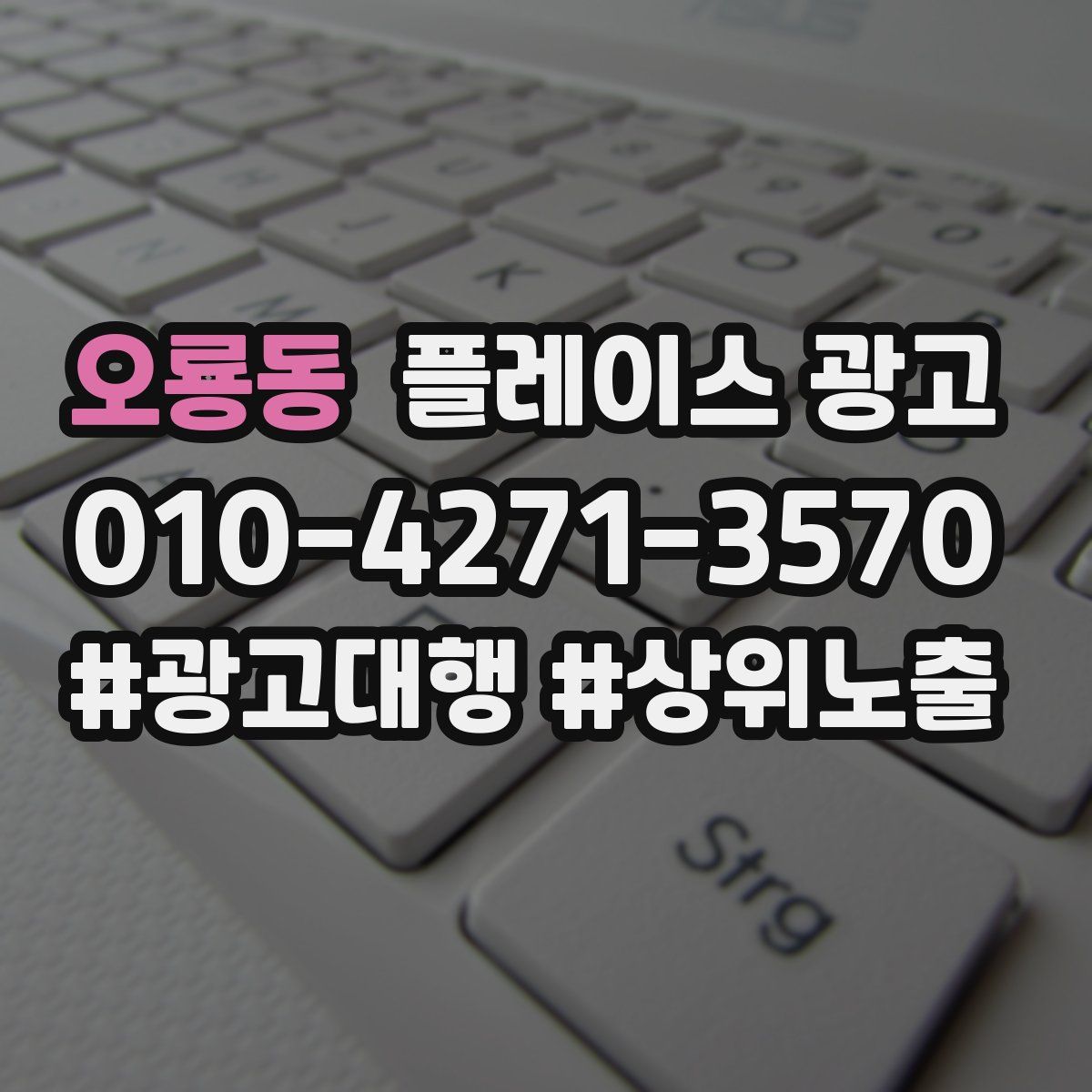 오룡동 플레이스 광고