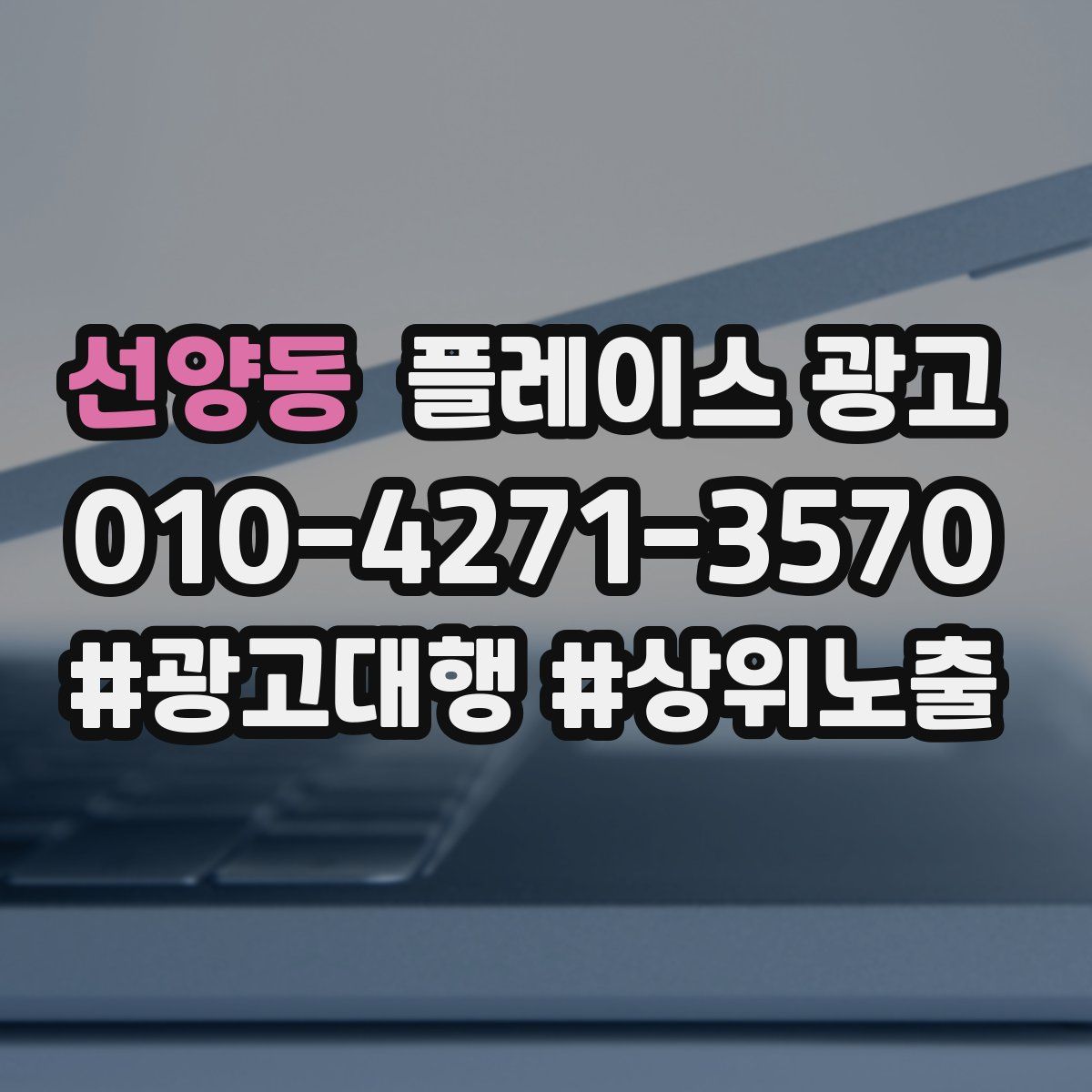 선양동 플레이스 광고