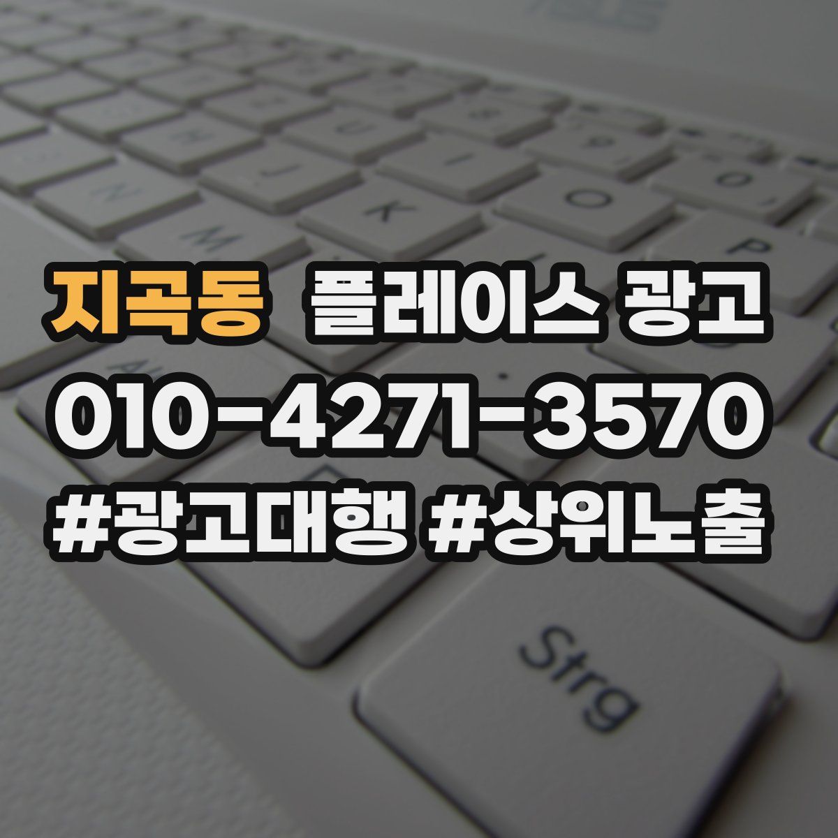 지곡동 플레이스 광고